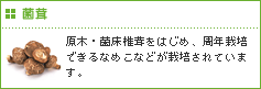 ۑ