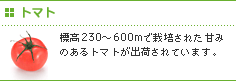 トマト