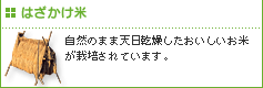 はざかけ米