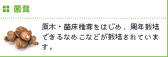 菌茸