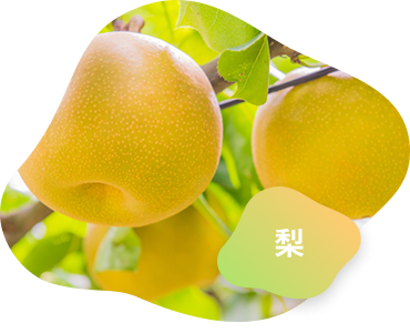 イメージ画像2（梨）