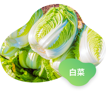 イメージ画像6（玉ねぎ）