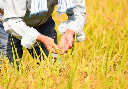 「経済・販売事業」コンテンツイメージ