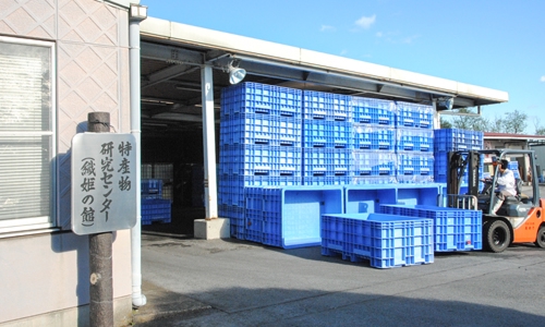 「みさと梅加工場」外観写真