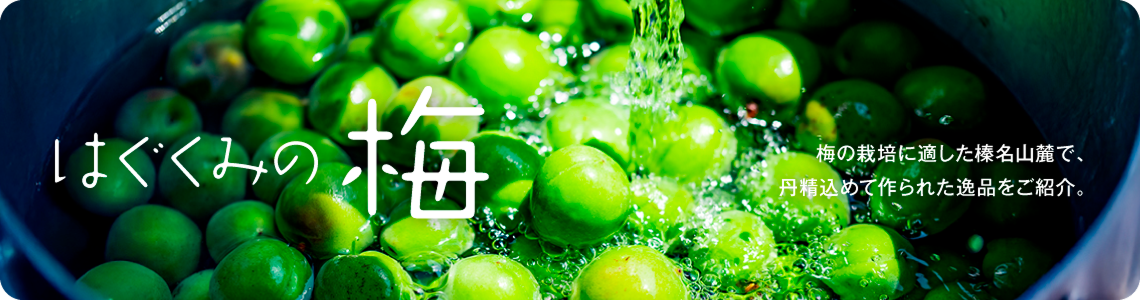 JAはぐくみの梅　梅の栽培に適した榛名山麓で、丹精込めて作られた逸品をご紹介