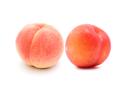 「特産物のご紹介」ページ　特産物写真（桃・プラム）