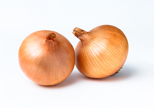 「特産物のご紹介」ページ　特産物写真（玉ねぎ）